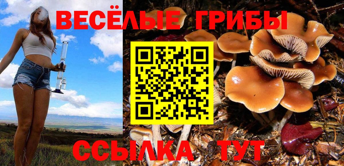 Псилоцибиновые грибы прущие грибы Лиски