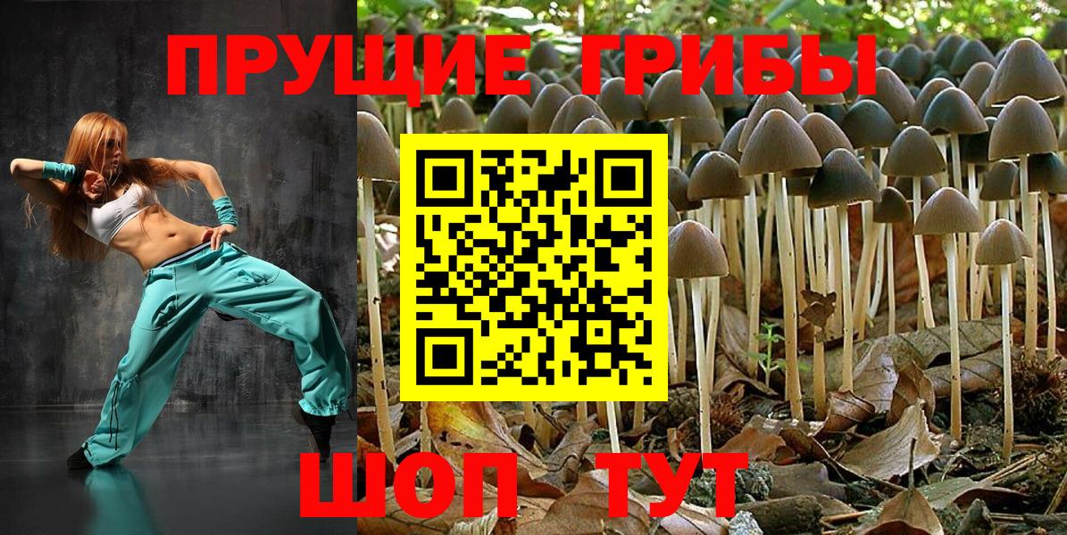 Псилоцибиновые грибы Psilocybe  Псилоцибиновые грибы ЛСД  где купить наркоту  Лиски 