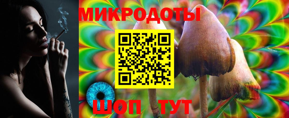 Псилоцибиновые грибы Psilocybine cubensis Лиски