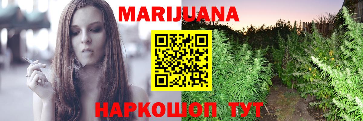 Бошки Шишки план Лиски